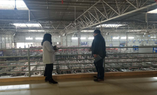 13 上院网—我院技术转移中心赴昆明花拍中心开展志愿服务活动511.png