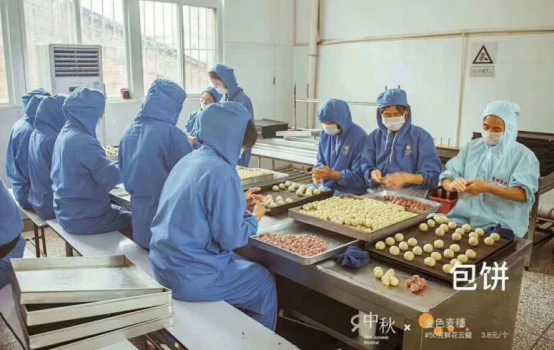 23 技术转移中心受邀到金色麦穗食品公司开展科技志愿服务g738.png