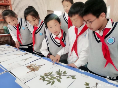 41 科普课程进校园（大渔小学）-白莉520299.png