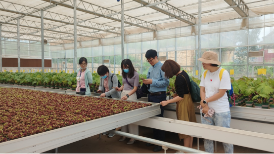 87 我院《云南花卉产业创新发展对策研究》课题组一行赴云南省花卉所学习调研872.png